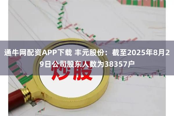 通牛网配资APP下载 丰元股份：截至2025年8月29日公司股东人数为38357户