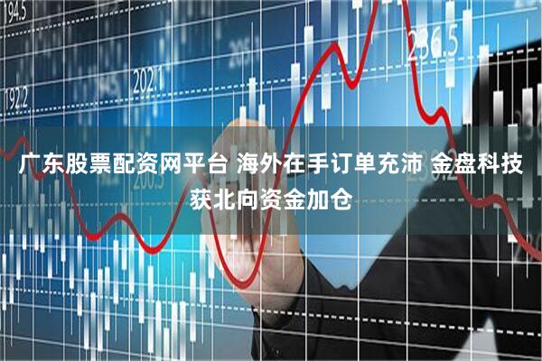 广东股票配资网平台 海外在手订单充沛 金盘科技获北向资金加仓