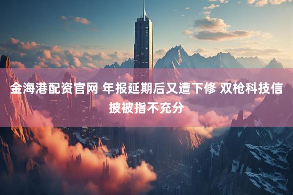 金海港配资官网 年报延期后又遭下修 双枪科技信披被指不充分